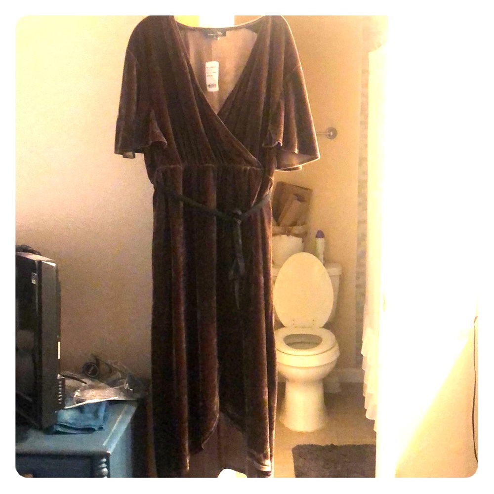 Plus Size Brown Velvet Dress